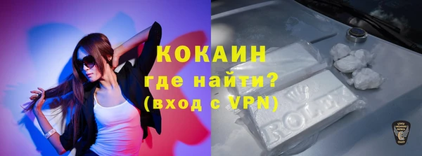 молекула духа Ладушкин