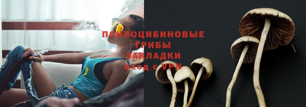 spice Лабытнанги