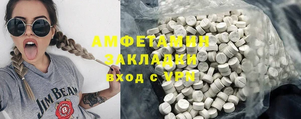 молекула духа Ладушкин