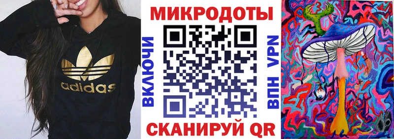 Купить закладки  Няндома  Псилоцибиновые грибы Psilocybe 